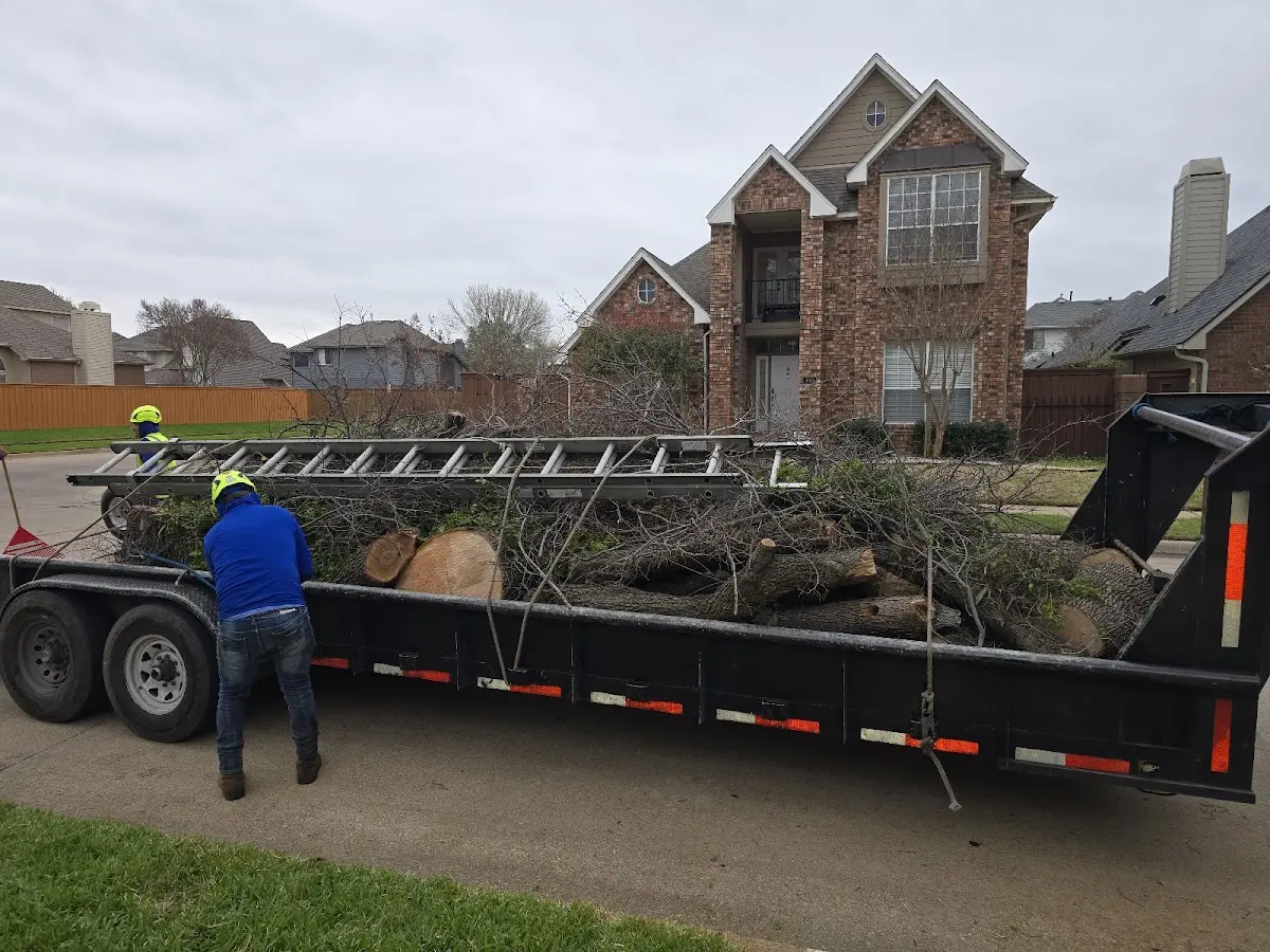 Expert Tree Fertilization with proper safety equipment in Mickleton